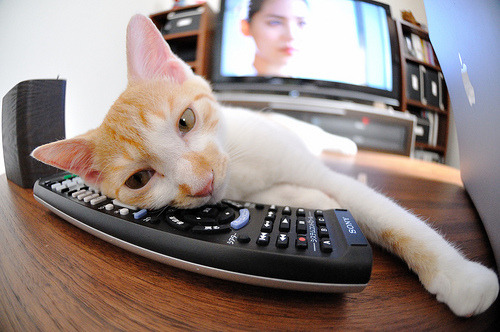 爱游戏官网充值-“中国足球国际交流促进合作不断深化”，中国足球国际队